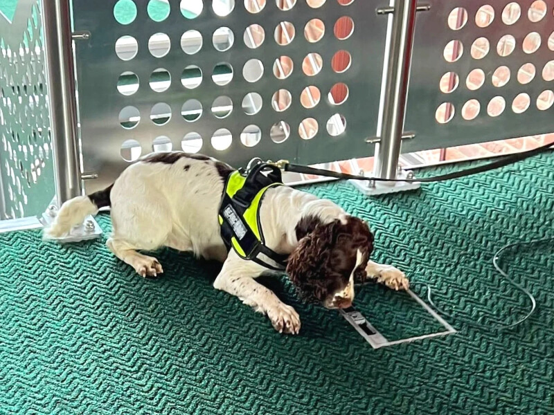 drug detection dogs borders k9 support