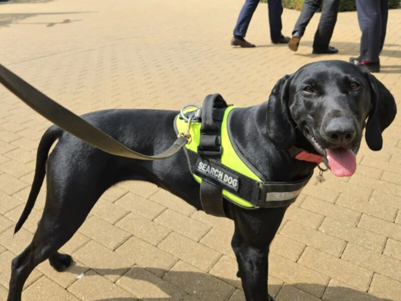 detection dogs borders k9 support